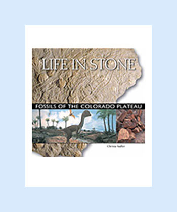 life-in-stone-cover-bg Life in Stone: Fossils of the Colorado Plateau