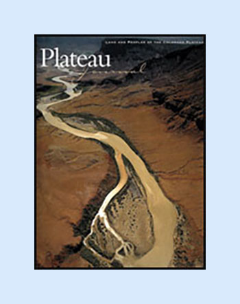 shape-of-the-land-cover-bg The Shape of the Land